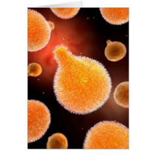 Imagen Conceptual De Plasmodium Que Provoca La Mal