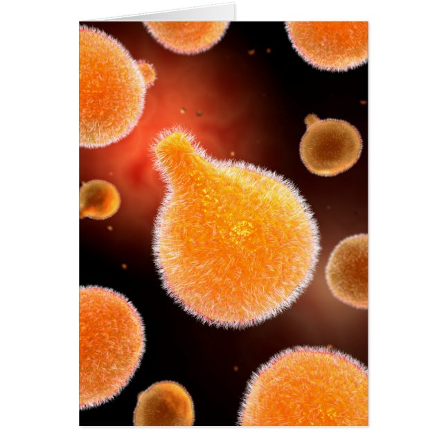 Imagen Conceptual De Plasmodium Que Provoca La Mal (Frente)