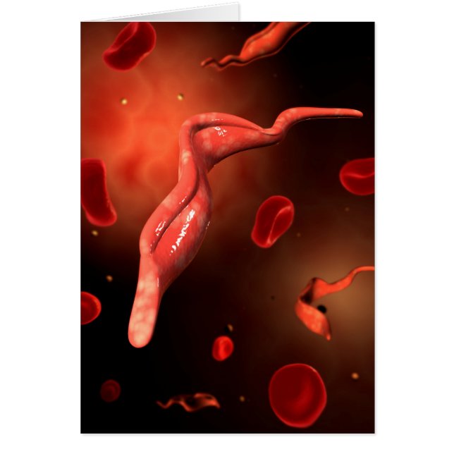 Imagen Conceptual De Trypanosoma 1 (Frente)