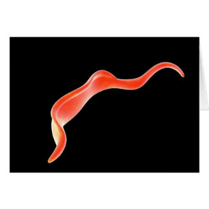 Imagen Conceptual De Trypanosoma 2