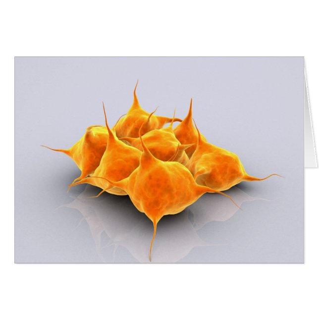 Imagen Conceptual De Un Grupo De Plaquetas (Anverso (Horizontal))