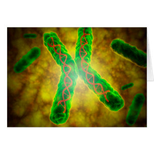 Imagen conceptual de un Telomere