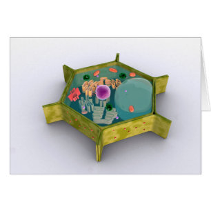 Imagen Conceptual De Una Célula Vegetal