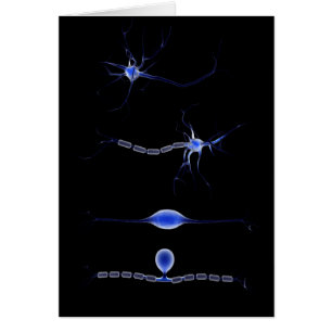 Imagen Conceptual De Una Neurona 1