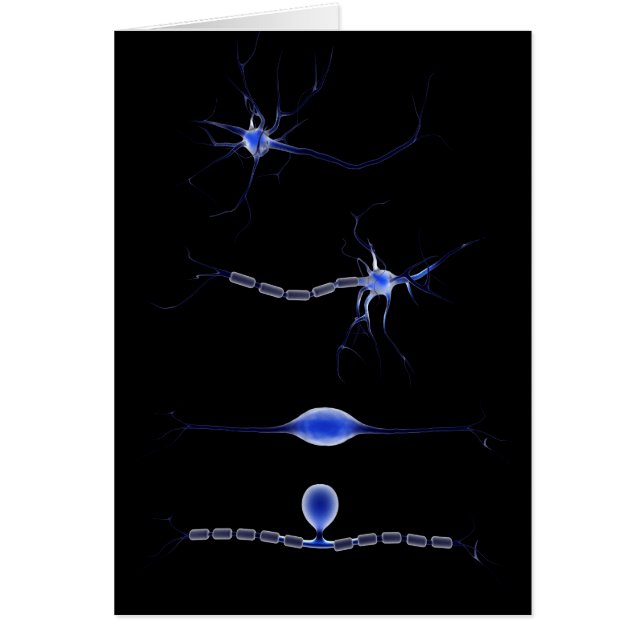 Imagen Conceptual De Una Neurona 1 (Frente)