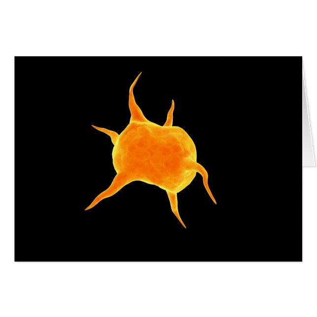 Imagen Conceptual De Una Plaqueta (Anverso (Horizontal))