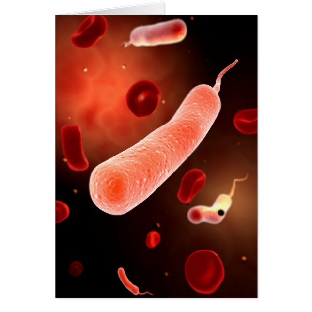 Imagen Conceptual De Vibrio Cholerae 2 (Frente)