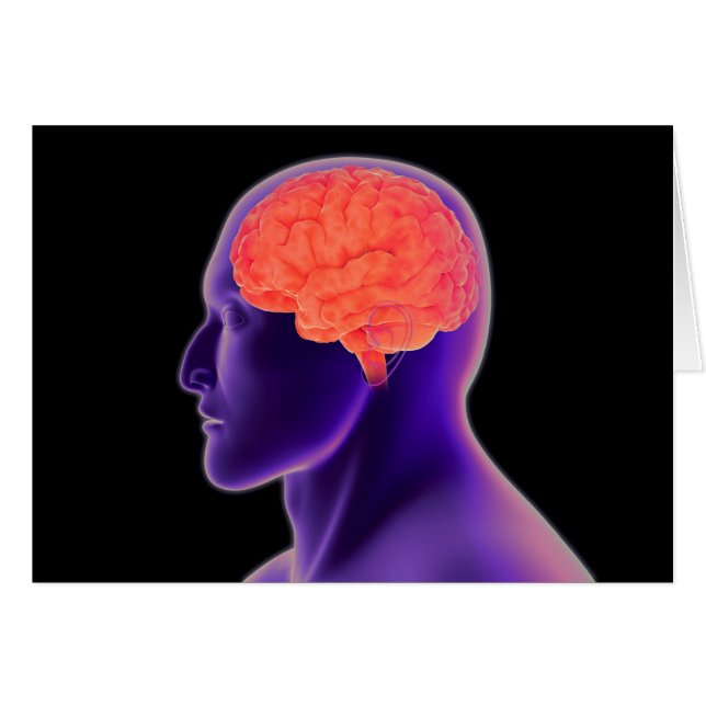 Imagen conceptual del cerebro humano 1 (Anverso (Horizontal))