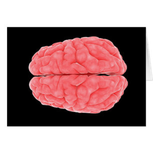 Imagen conceptual del cerebro humano 10