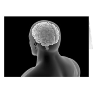 Imagen conceptual del cerebro humano 2