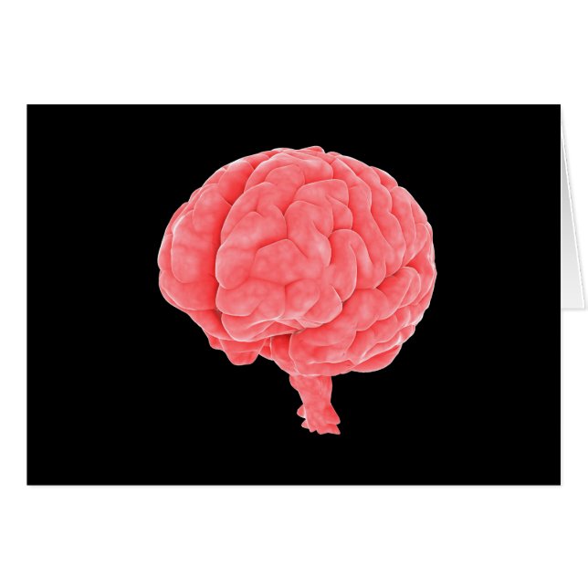 Imagen conceptual del cerebro humano 5 (Anverso (Horizontal))