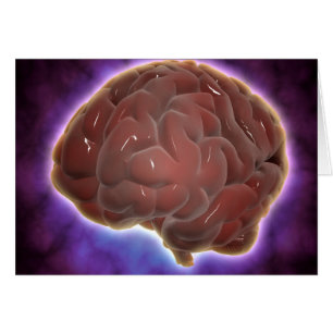 Imagen conceptual del cerebro humano 6