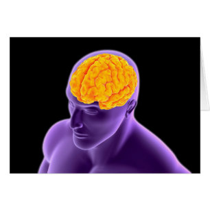 Imagen conceptual del cerebro humano 8