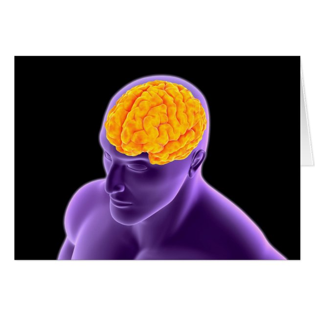 Imagen conceptual del cerebro humano 8 (Anverso (Horizontal))