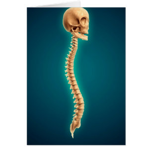 Imagen conceptual del cráneo humano y de la médu