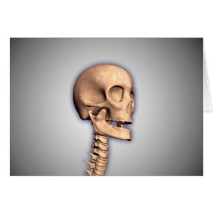 Imagen conceptual del cráneo humano y de la médu