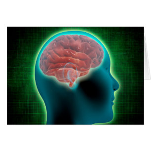 Imagen Conceptual Del Cuerpo Femenino Con Cerebro