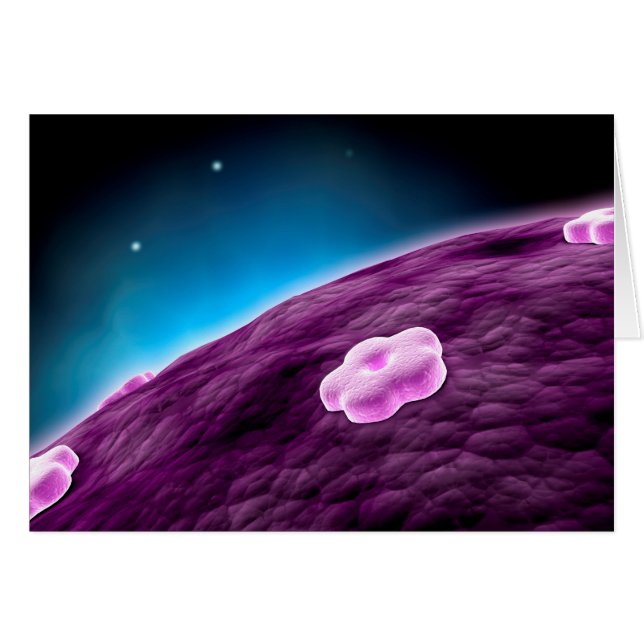 Imagen Conceptual Del Núcleo Celular (Anverso (Horizontal))