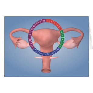 Imagen conceptual del órgano reproductivo femenin