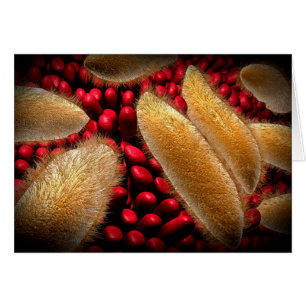 Imagen Conceptual Del Paramecio 1