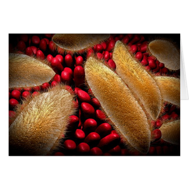 Imagen Conceptual Del Paramecio 1 (Anverso (Horizontal))