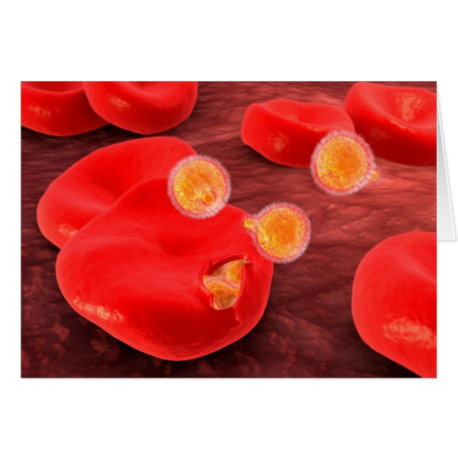 Imagen Conceptual Del Paramecio 2 (Anverso (Horizontal))