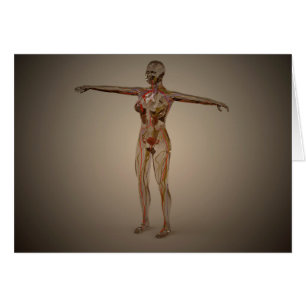Imagen conceptual del sistema nervioso humano 2