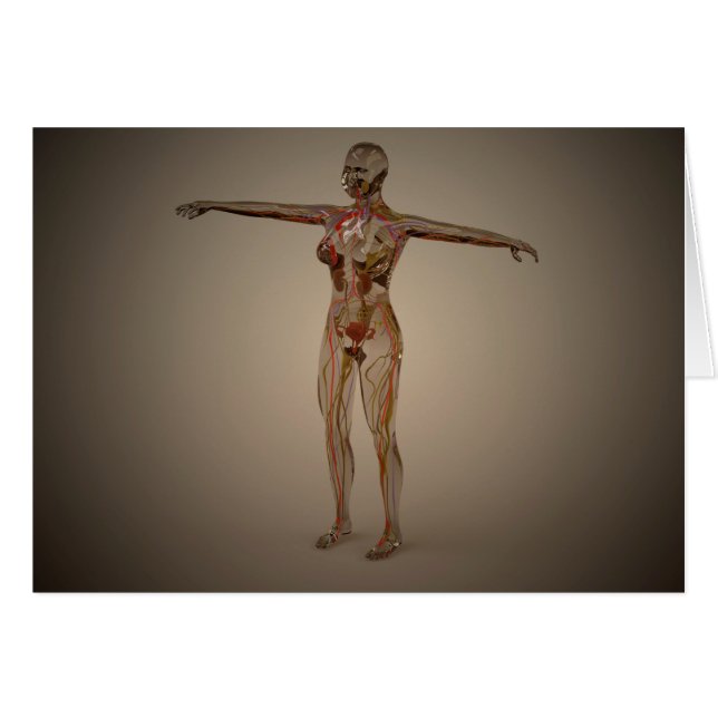 Imagen conceptual del sistema nervioso humano 2 (Anverso (Horizontal))