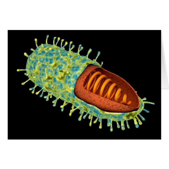 Imagen Conceptual Del Virus De La Rabia 3 (Anverso (Horizontal))