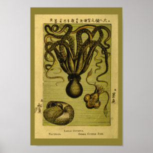 Imagen de arte de las criaturas del mar de vintage