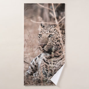 Imagen de arte fino del gran leopardo salvaje o pa
