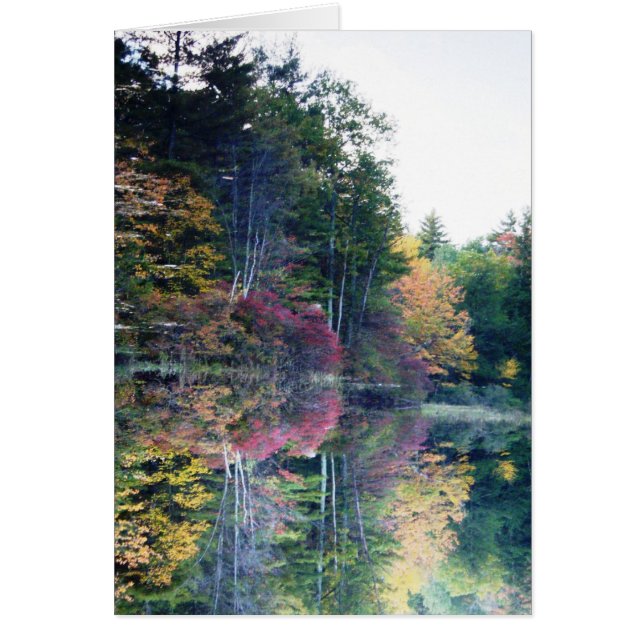 "Imagen de espejo " (Frente)