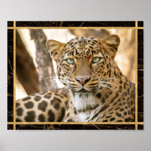 Imagen de foto de gato leopardo impresión cartel