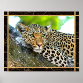 Imagen de foto de leopardo impresión cartel