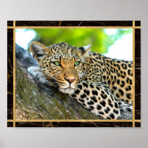 Imagen de foto de leopardo impresión cartel