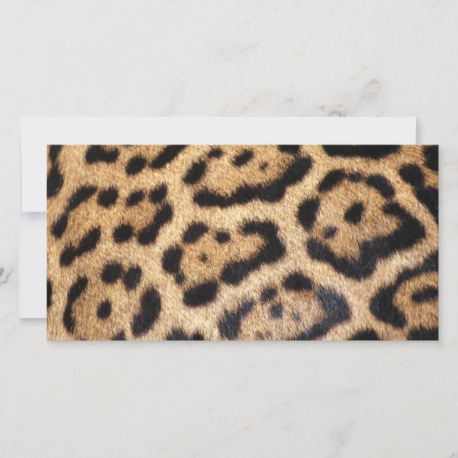 Imagen de Jaguar Fur (Anverso)