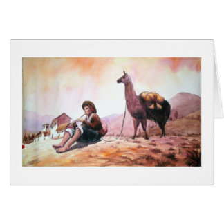 Imagen de la llama de Cusco Perú