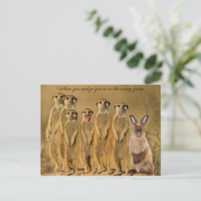 Imagen de la tarjeta postal del Conejo Funny Meerk (Anverso de pie)