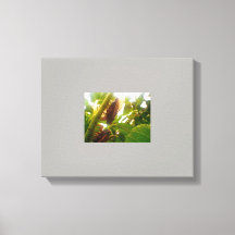 Imagen de lienzo de campo langosta