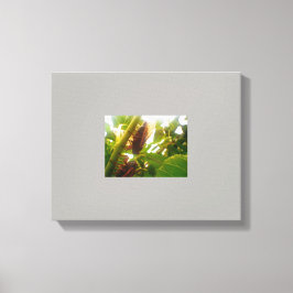 Imagen de lienzo de campo langosta