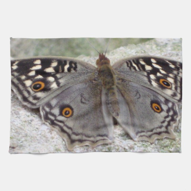 Imagen de mariposa gris - Toalla de té de cocina (Horizontal)