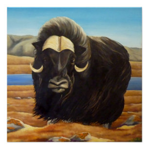 Imagen de Muskox con Poster canadiense de vida sil