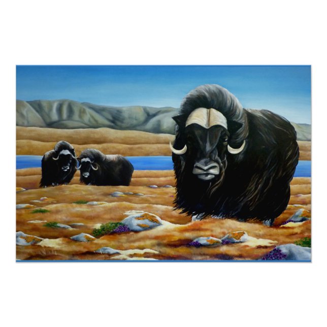 Imagen de Muskox con Poster canadiense de vida sil (Anverso)