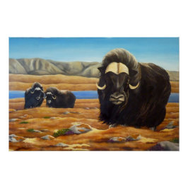 Imagen de Muskox con Poster canadiense de vida sil