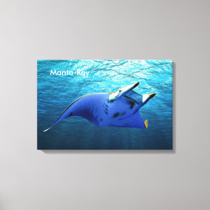 Imagen de pescado para lienzo envuelto