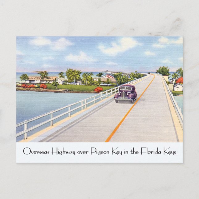 Imagen de postal de la Florida de la época Pigeon  (Anverso)