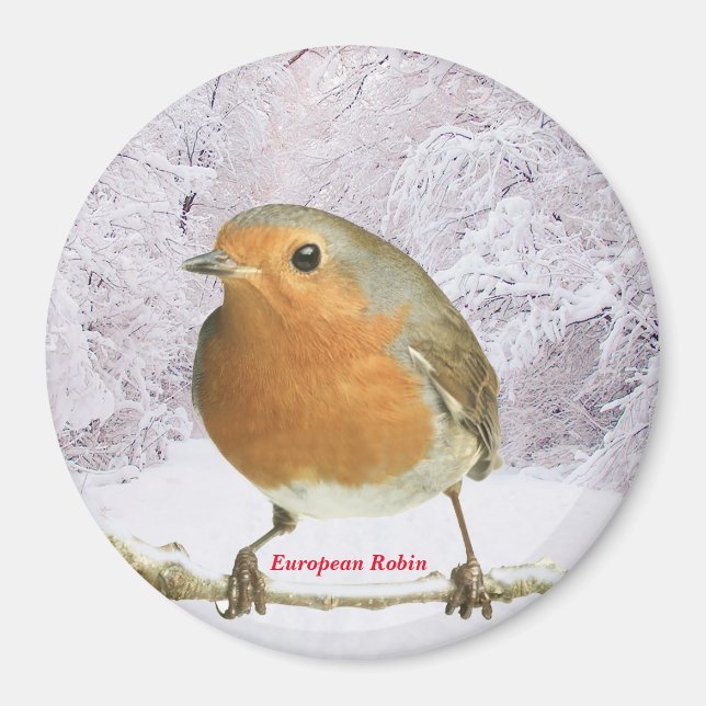 Imagen de Robin para el gran imán redondo (Frente)