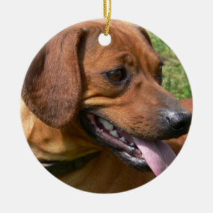 Imagen de un ornamento del Dachshund