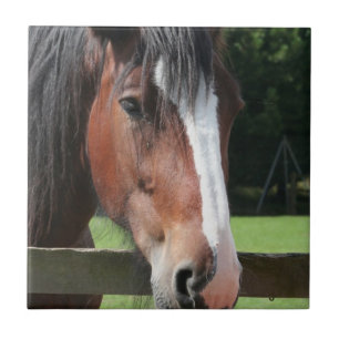 Imagen de una teja o de un Trivet cuarta del