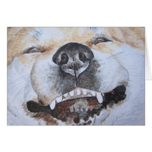 imagen del lindo y gracioso perro sonriente akita